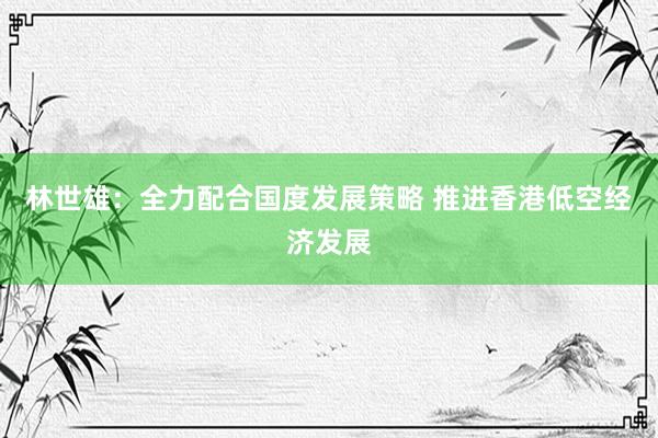 林世雄：全力配合国度发展策略 推进香港低空经济发展