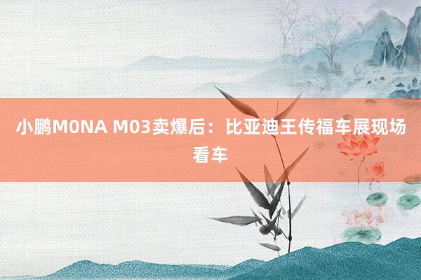 小鹏M0NA M03卖爆后：比亚迪王传福车展现场看车