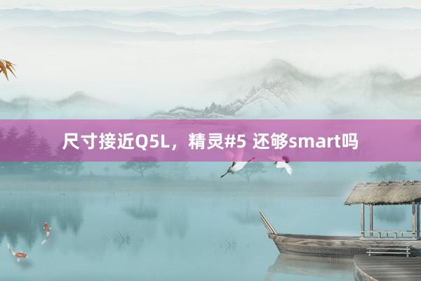 尺寸接近Q5L，精灵#5 还够smart吗