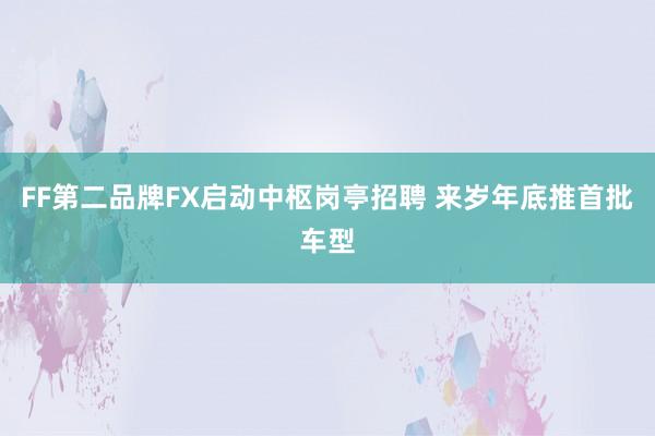 FF第二品牌FX启动中枢岗亭招聘 来岁年底推首批车型