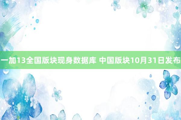 一加13全国版块现身数据库 中国版块10月31日发布