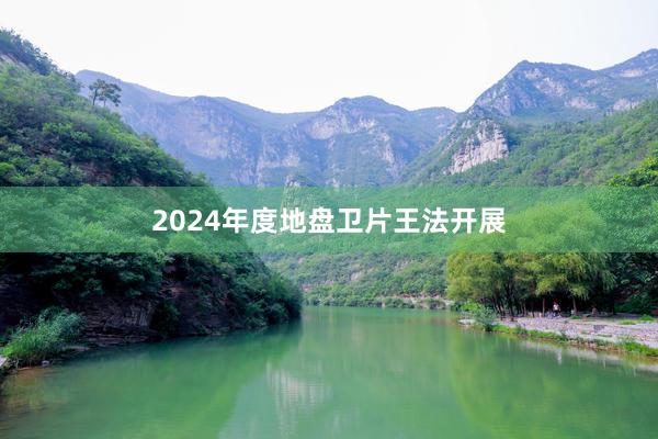 2024年度地盘卫片王法开展