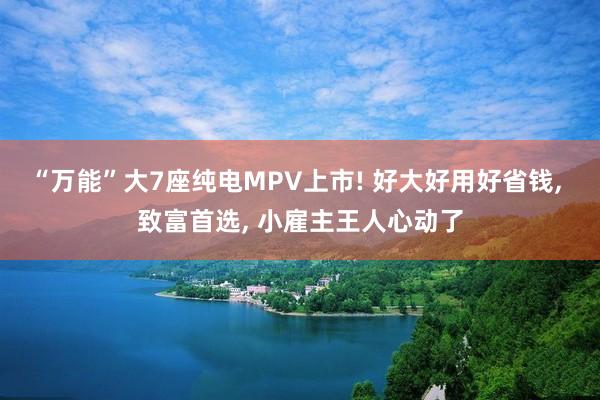 “万能”大7座纯电MPV上市! 好大好用好省钱, 致富首选, 小雇主王人心动了